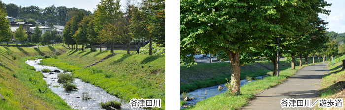 谷津田川・谷津田川/遊歩道
