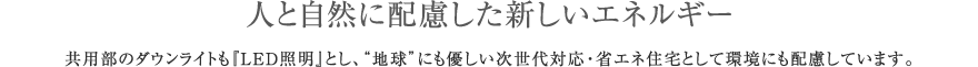 人と自然に配慮した新しいエネルギー